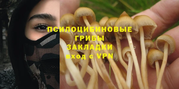 соль ск Балахна