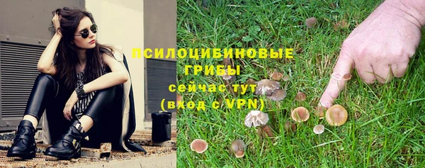 мдпв Балабаново