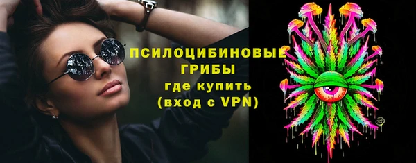 соль ск Балахна