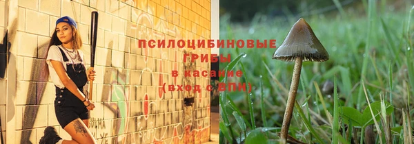 соль ск Балахна