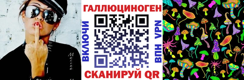 Псилоцибиновые грибы Psilocybe  Богородицк 